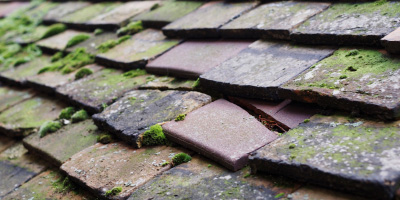 Broadwell roof repair costs